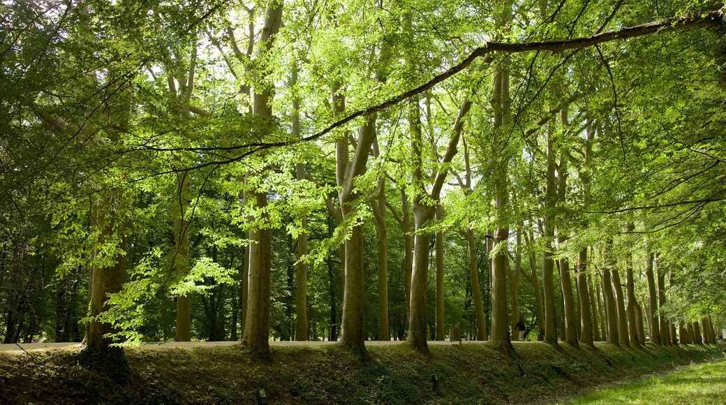 Chateau de Chenonceau which includes a garden