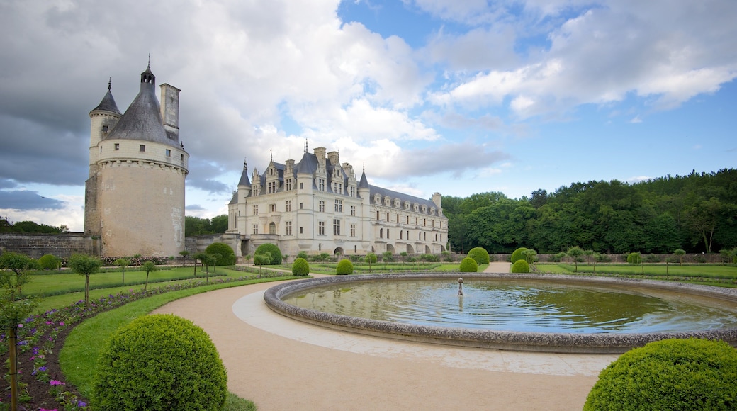 Chateau de Chenonceau showing a fountain, a castle and a park