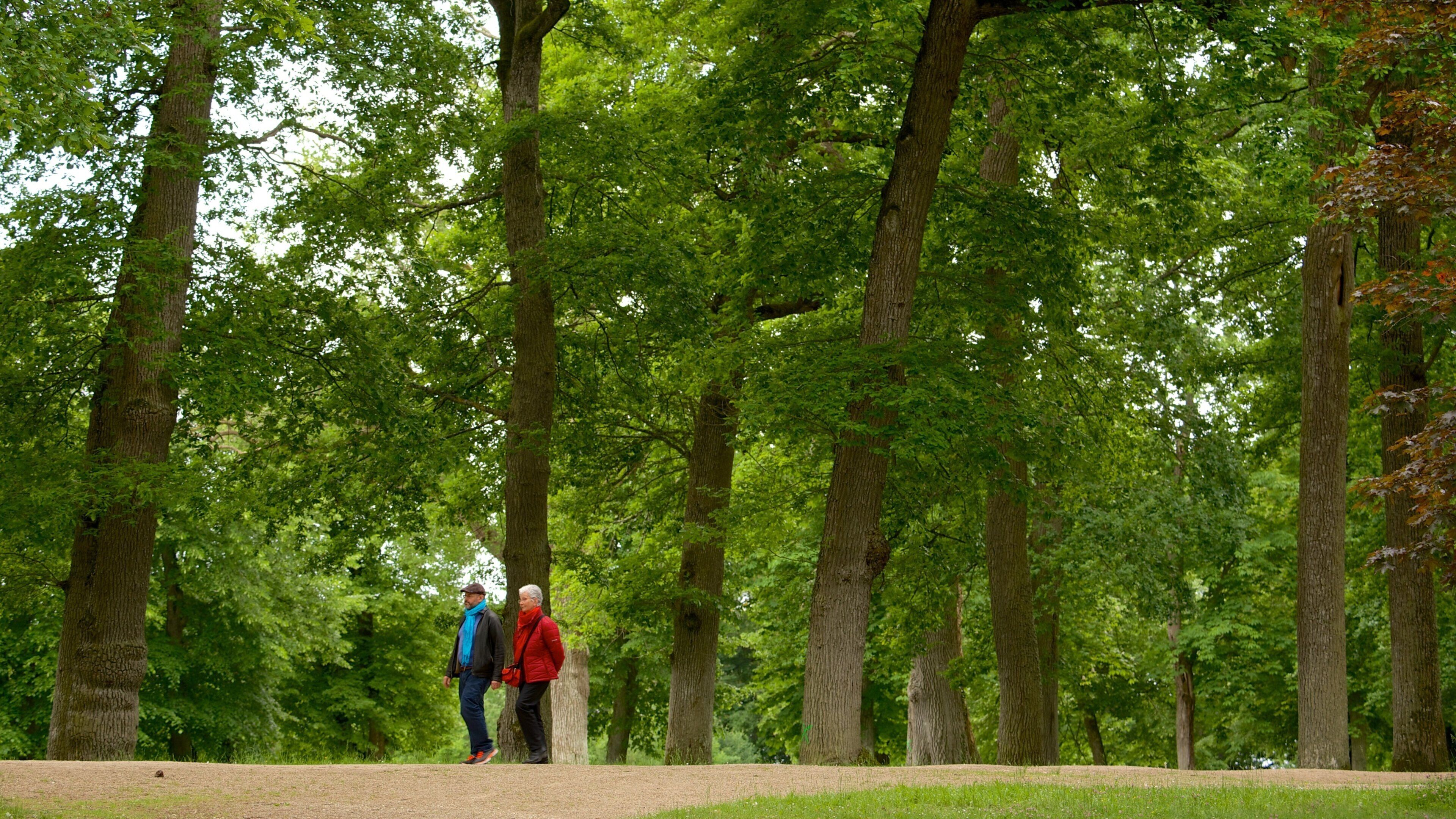 Chateau de Valencay featuring a garden as well as a couple