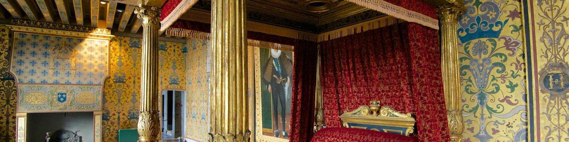 Chateau de Blois que incluye vistas interiores y un castillo