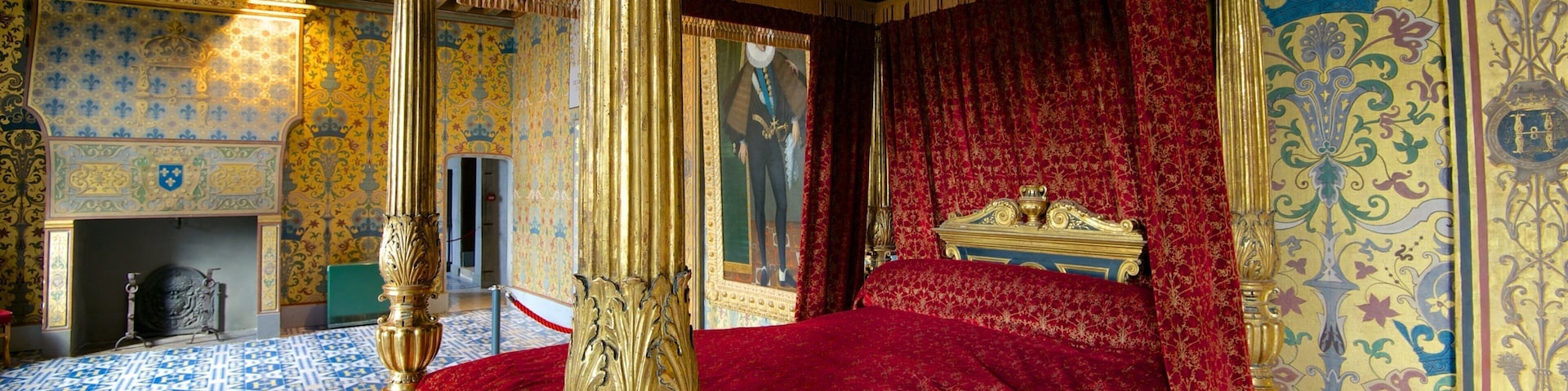 Schloss Blois das einen Innenansichten und Burg