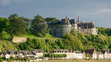 Chateau de Chaumont which includes a small town or village, tranquil scenes and a castle