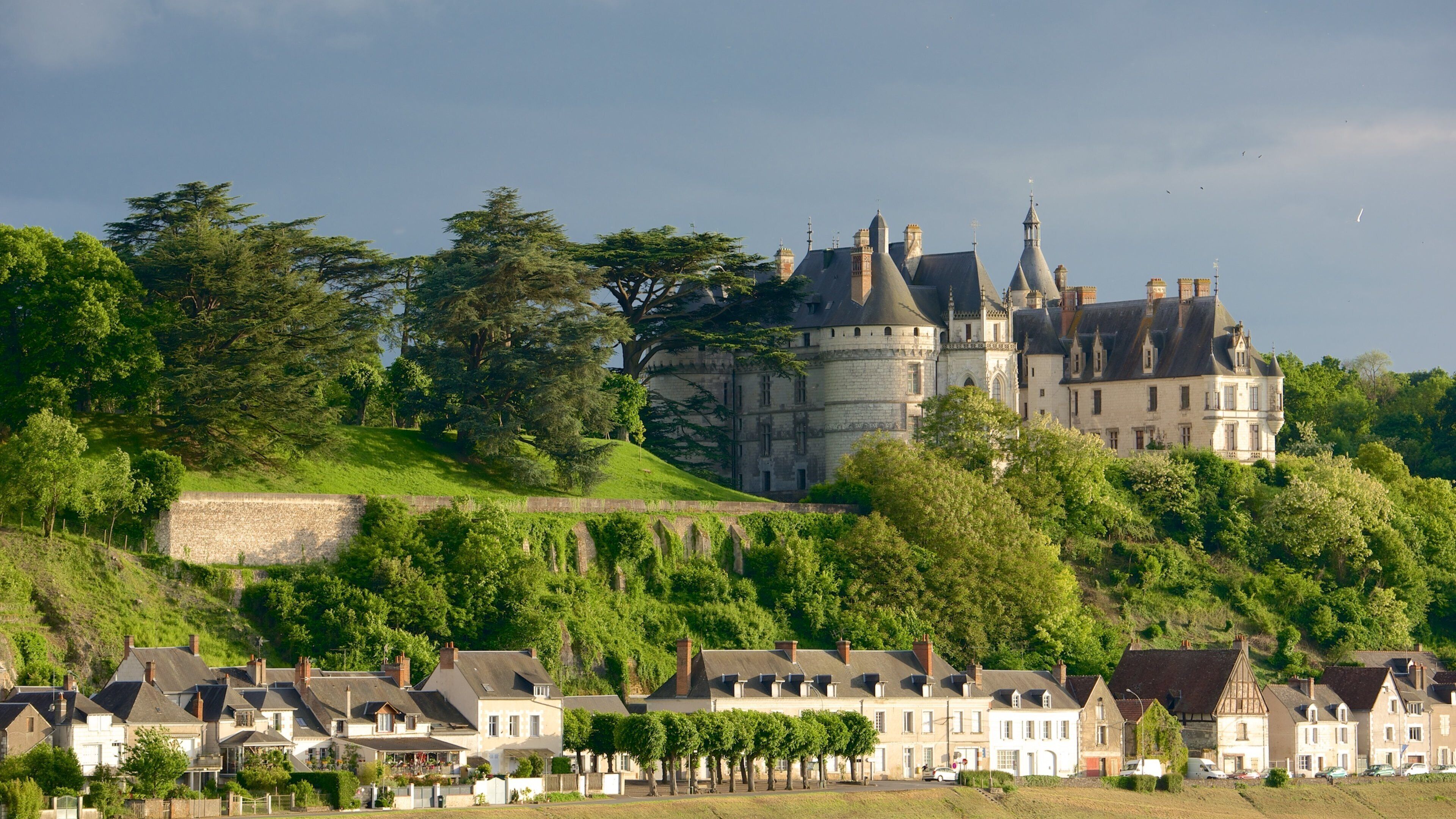 A castle on a hill with surrounding houses.