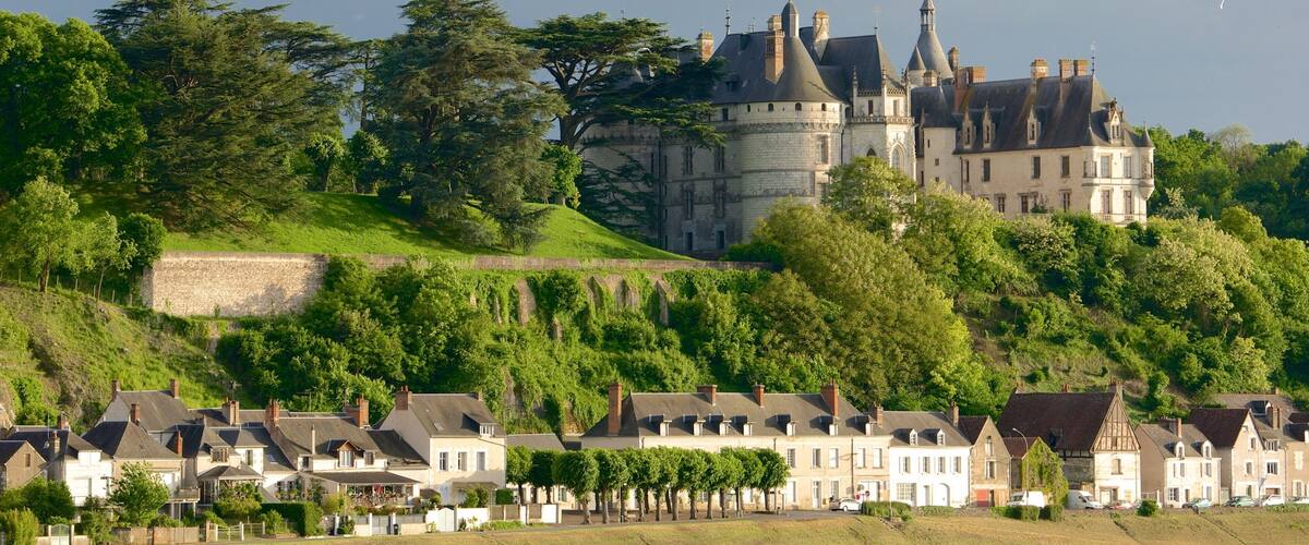 A castle on a hill with surrounding houses.