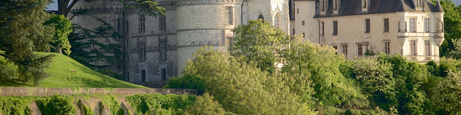 Chateau de Chaumont featuring château or palace