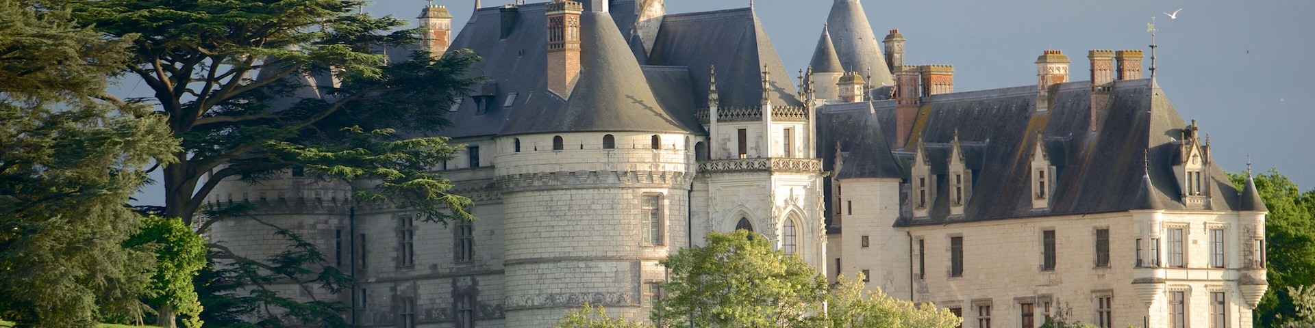 Chateau de Chaumont featuring château or palace