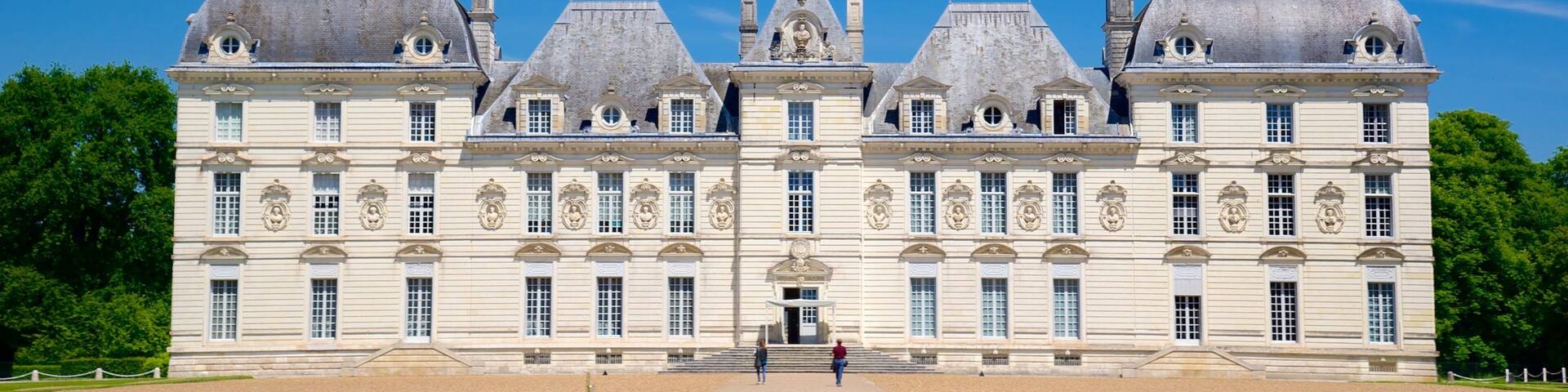 Château de Cheverny qui includes château ou palais et patrimoine architectural