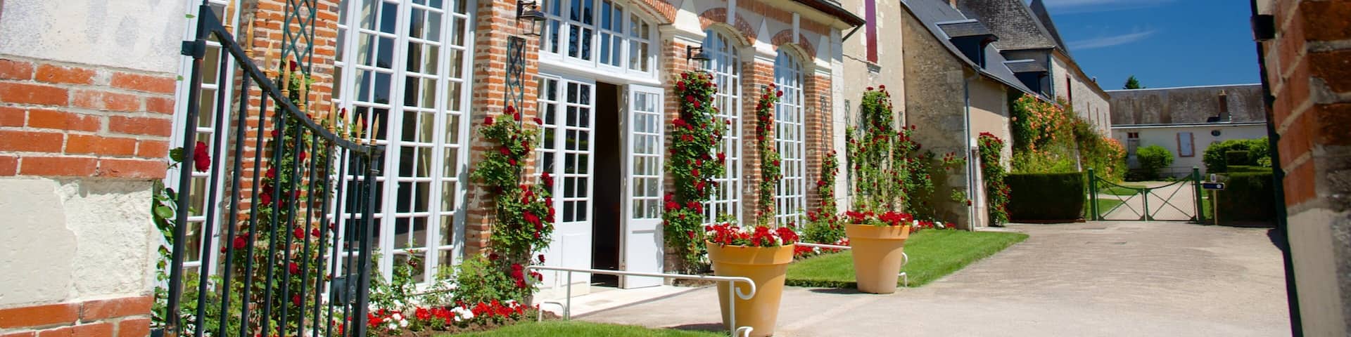 Chateau de Cheverny which includes chateau or palace, flowers and heritage architecture