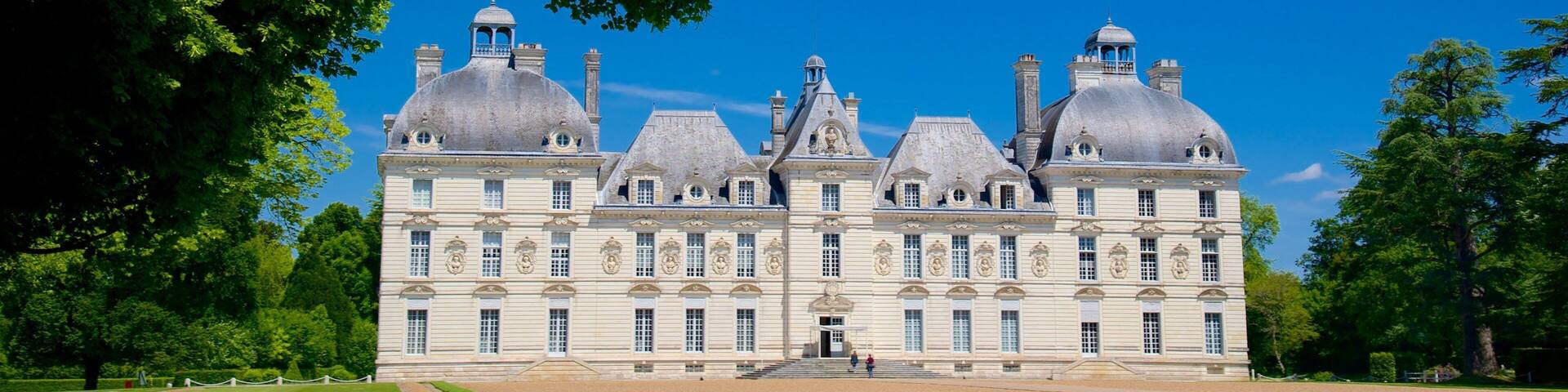 Chateau de Cheverny which includes a garden, heritage architecture and château or palace