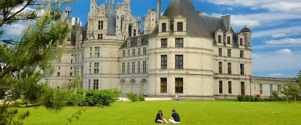 Chateau de Chambord mostrando un castillo, patrimonio de arquitectura y un parque