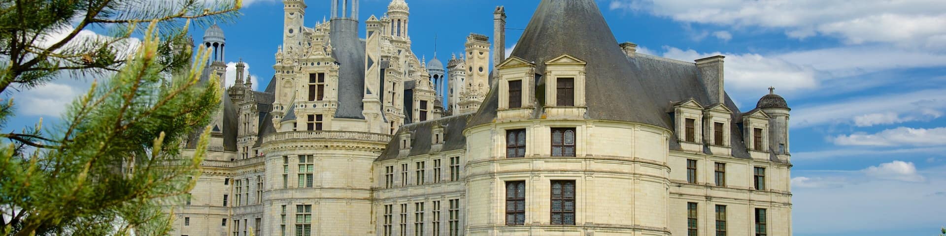 ChĂąteau de Chambord qui includes chĂąteau, parc et patrimoine architectural