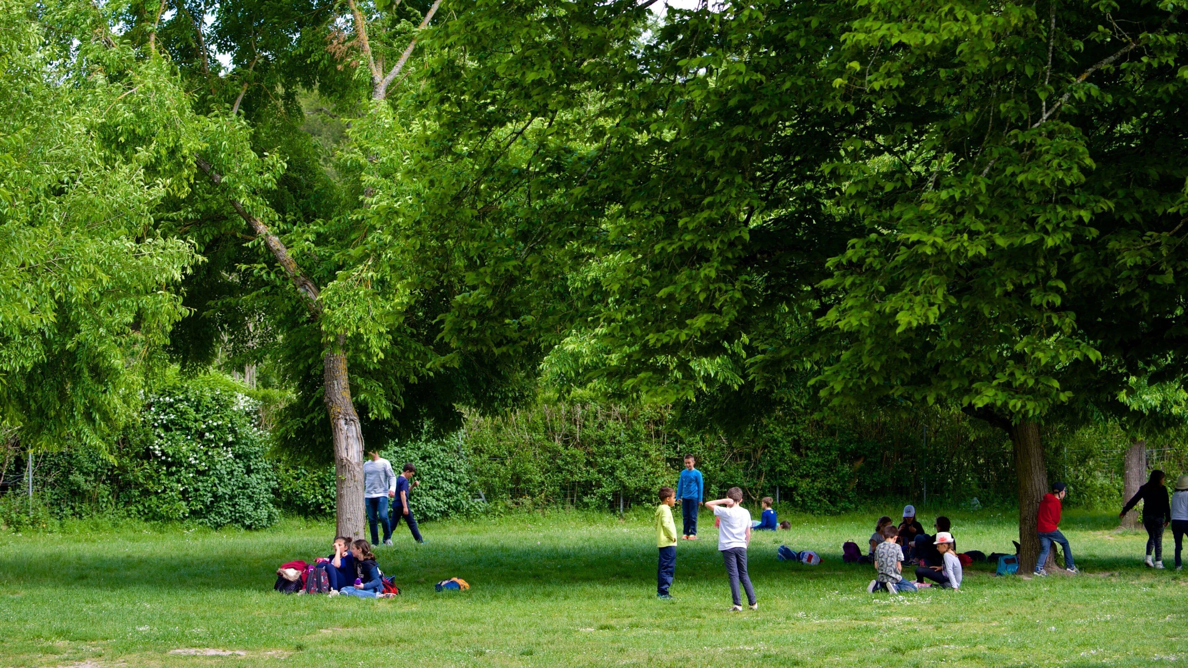 シャンボール城 どの含み 庭園 及び 大勢の人々