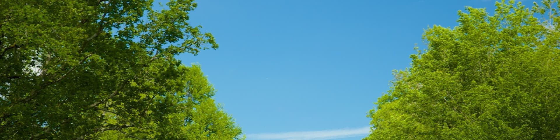 Chateau de Chambord showing tranquil scenes and a garden