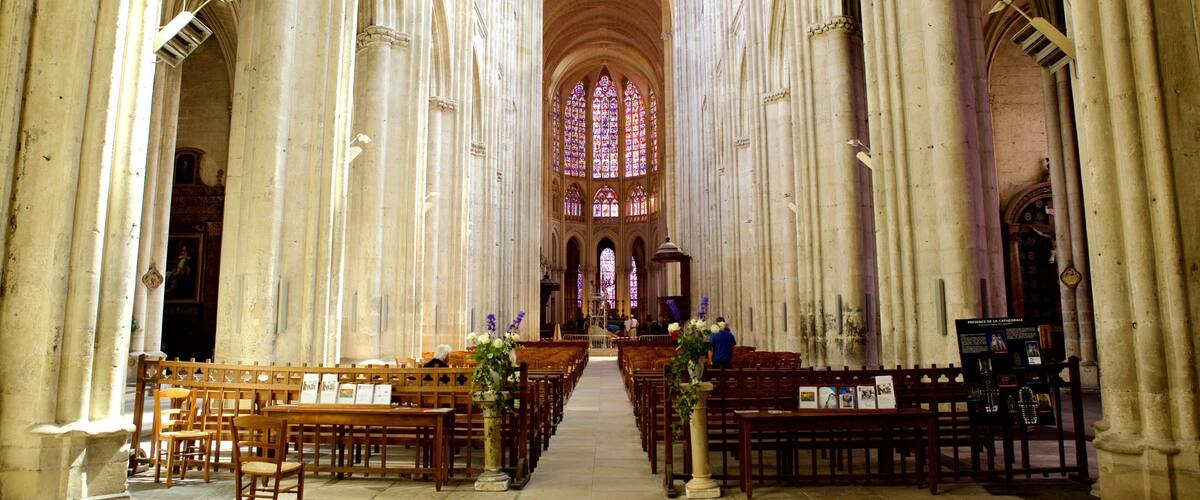 Catedral de Tours mostrando vistas de interior, una iglesia o catedral y elementos patrimoniales