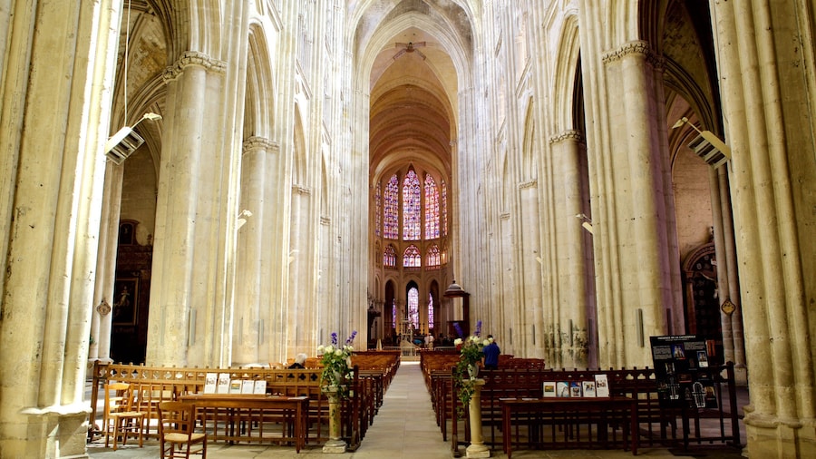 Tours Cathedral featuring a church or cathedral, heritage architecture and interior views