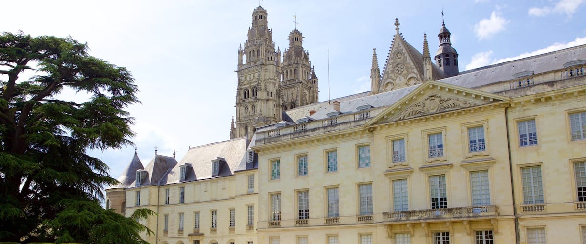 Musee des Beaux-Arts de Tours featuring heritage architecture, a park and heritage elements