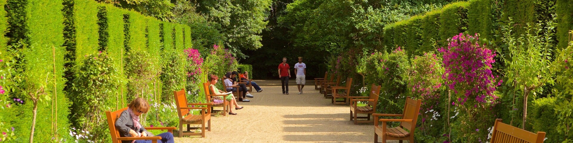 Un jardin avec un chemin de gravier, des bancs en bois et une végétation luxuriante.