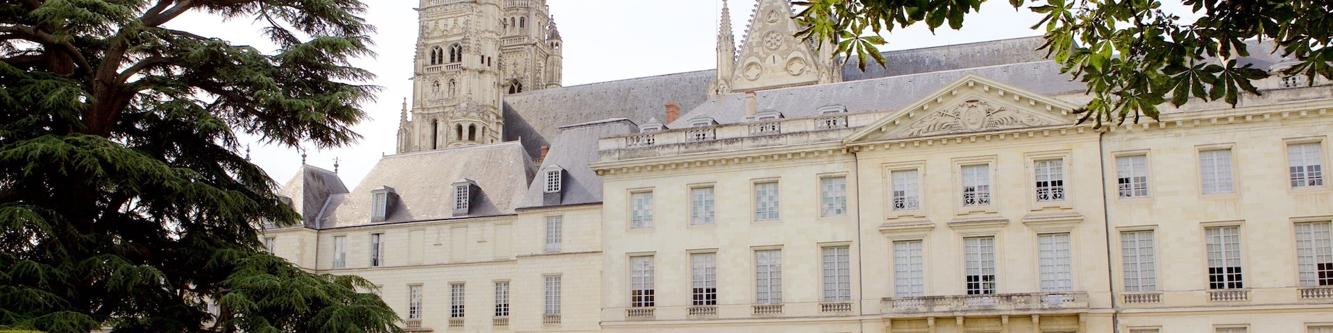 Musee des Beaux-Arts que inclui elementos de patrimônio, um parque e arquitetura de patrimônio