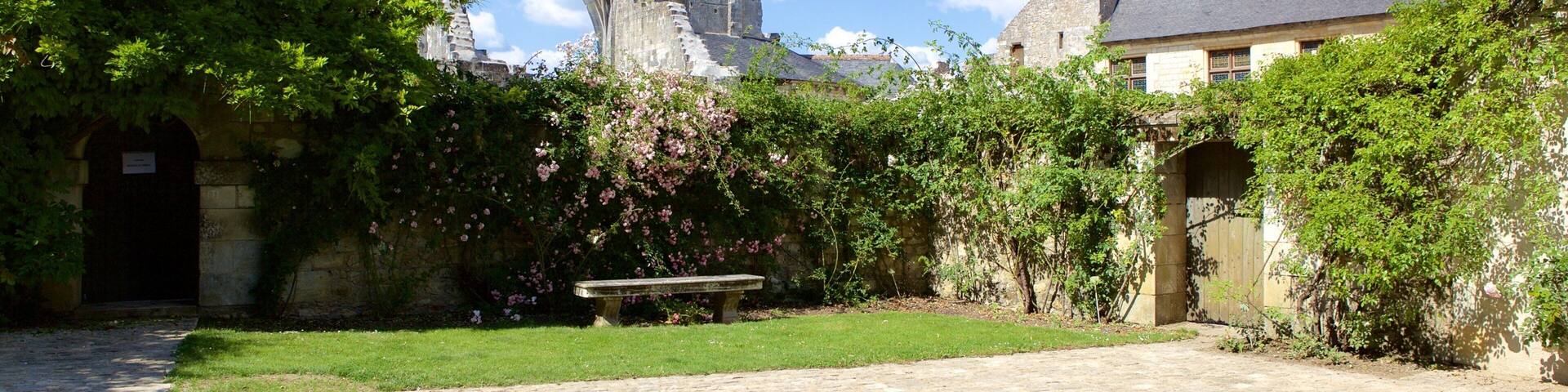 Prieure de St-Cosme showing a park and heritage elements