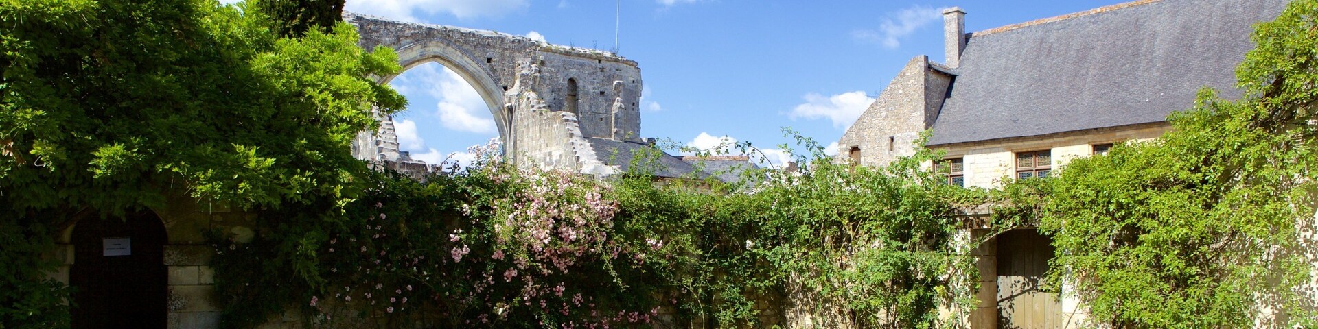 Prieure de St-Cosme mostrando un parque y elementos patrimoniales