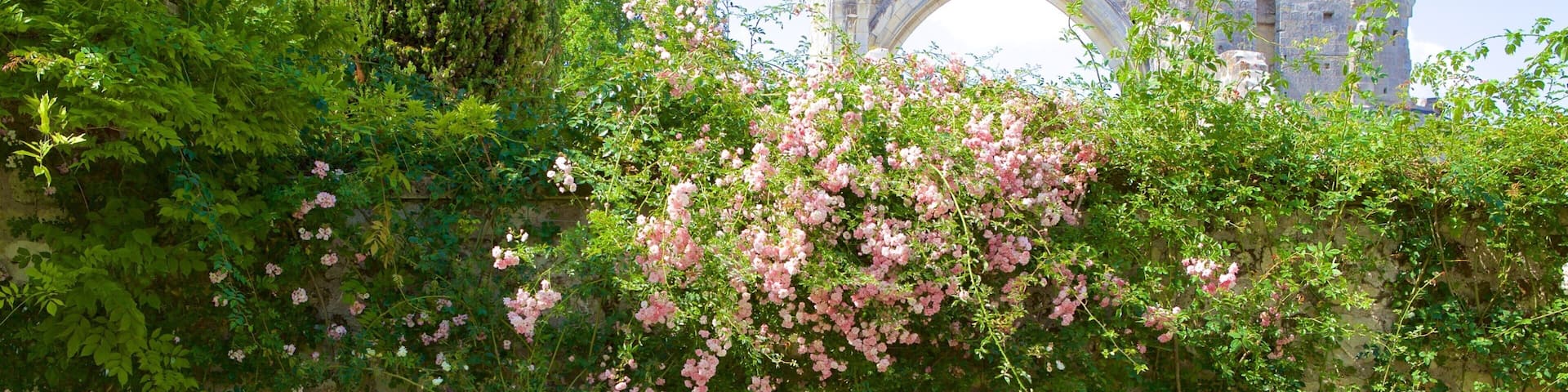 Prieure de St-Cosme which includes flowers and a park