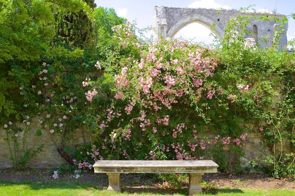 A stone bench surrounded by blooming pink roses and lush greenery, with an old stone wall and a historic archway in the background.