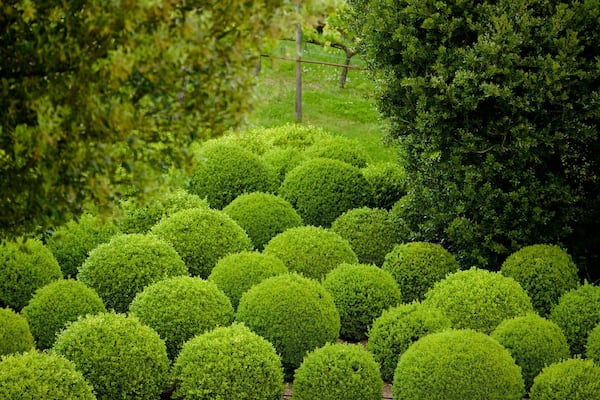 Château-Gaillard featuring a park