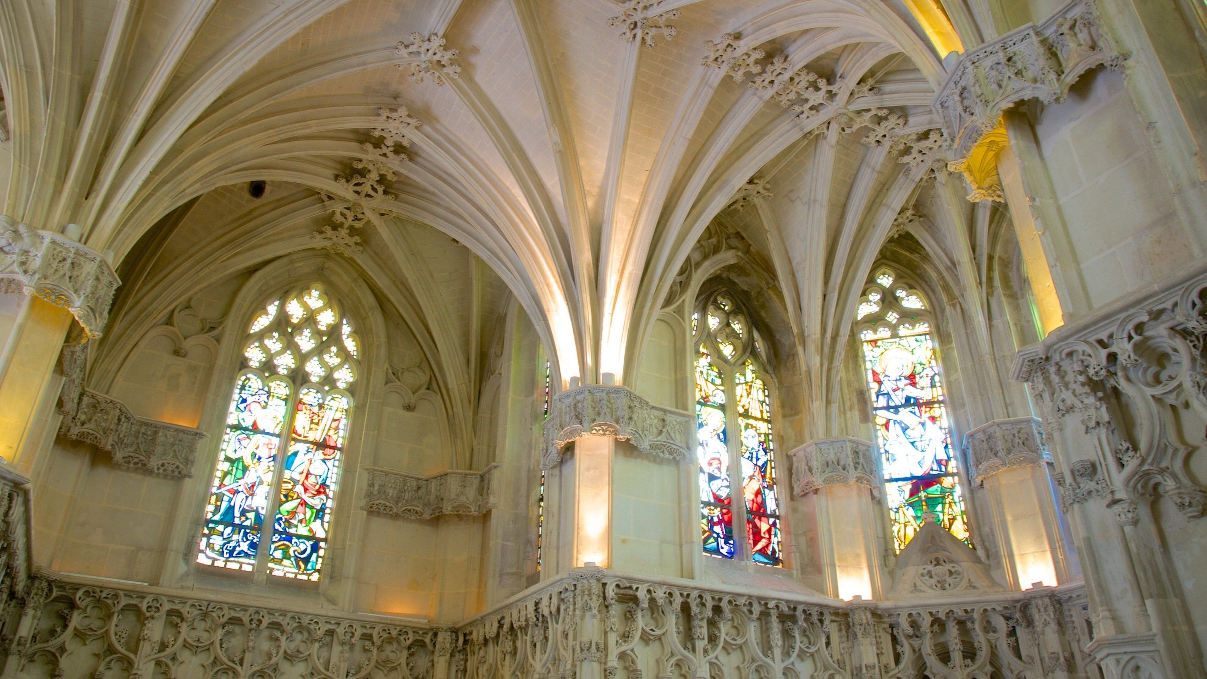 Chateau d\'Amboise que incluye vistas interiores, patrimonio de arquitectura y un castillo