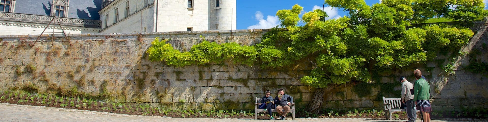 Chateau d\'Amboise which includes a park and a castle