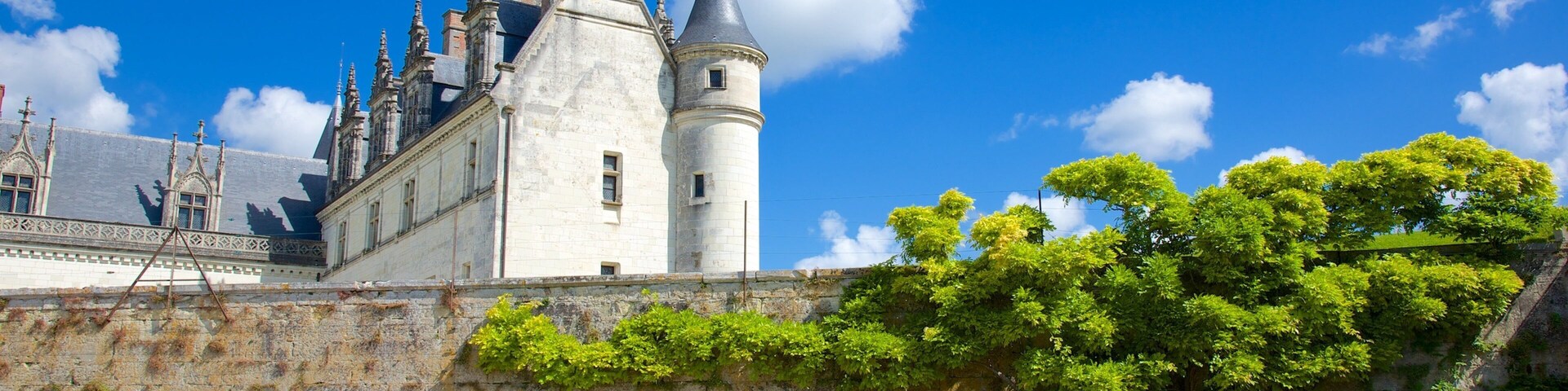 Chateau d\'Amboise which includes a park and a castle