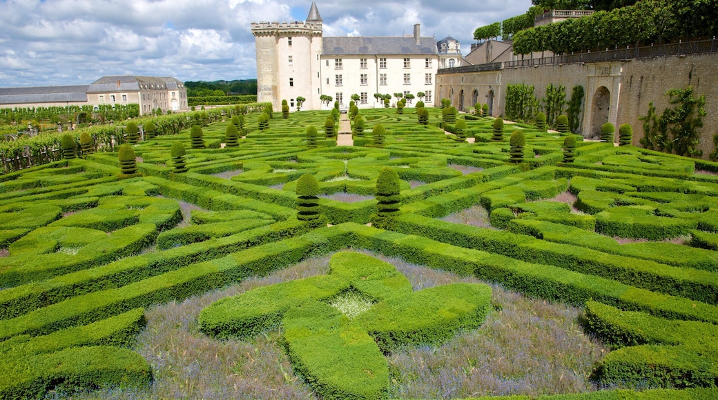 Chateau de Villandry showing a garden and a castle