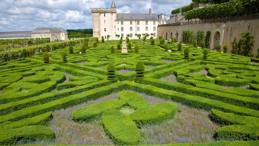 Chateau de Villandry featuring a garden and chateau or palace