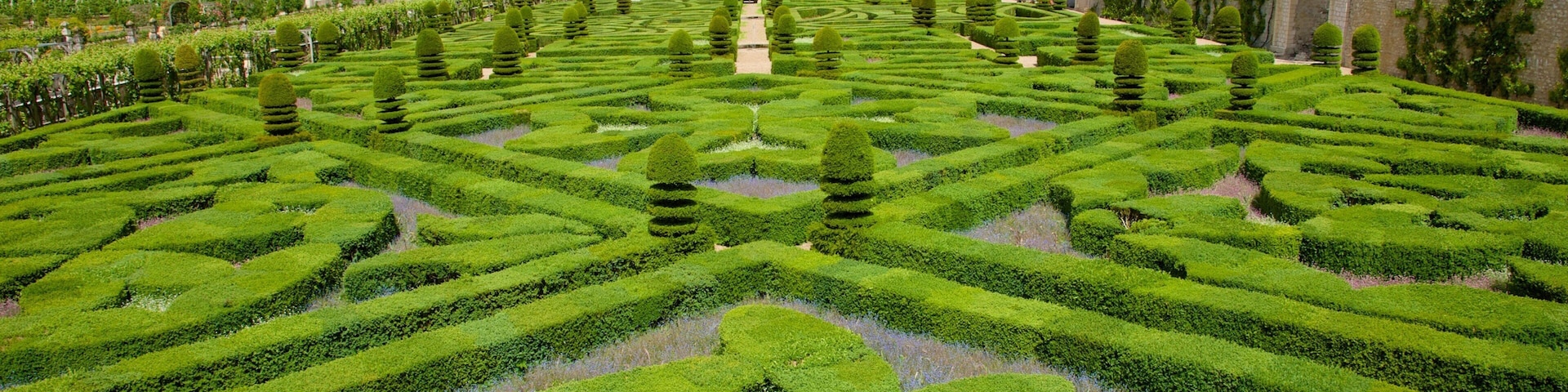 Chateau de Villandry caracterizando um jardim e um castelo