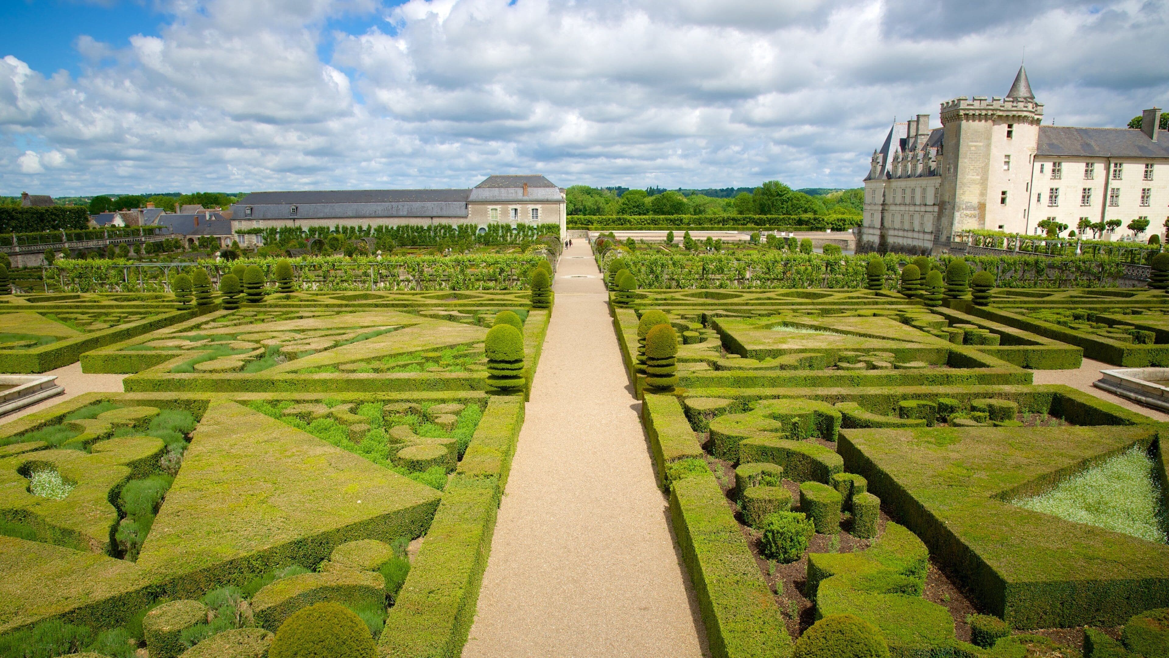 Chateau de Villandry showing a castle and a garden