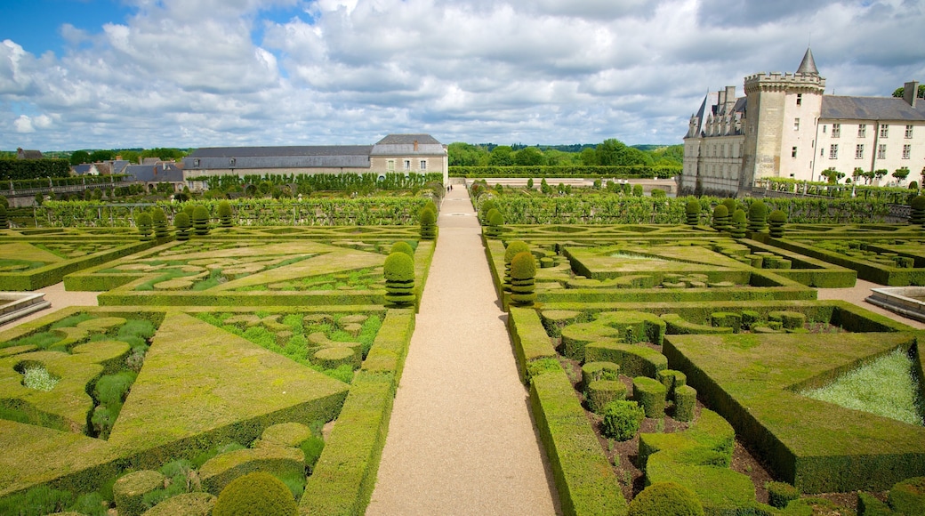 Chateau de Villandry showing a castle and a garden