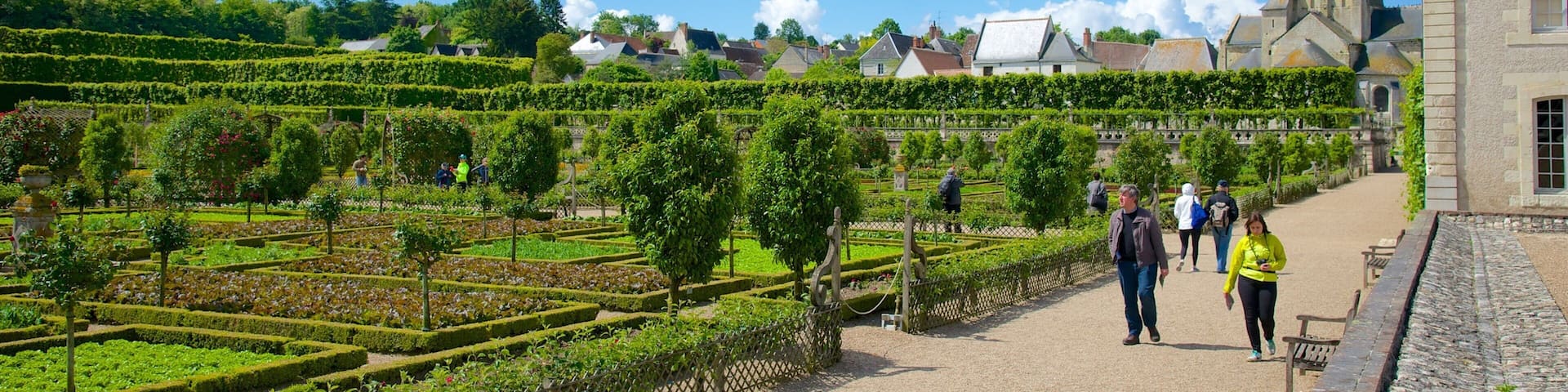 Chateau de Villandry which includes a park