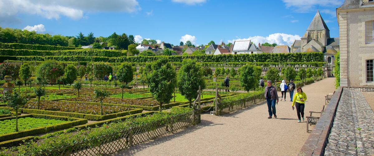 A vineyard with neatly trimmed rows of grapevines, a stone pathway, and a historic building with a tower in the background.