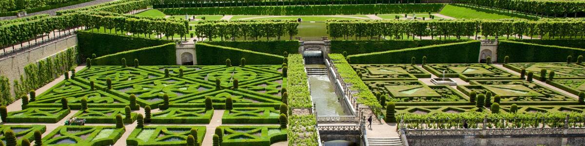 Chateau de Villandry showing a garden and chateau or palace