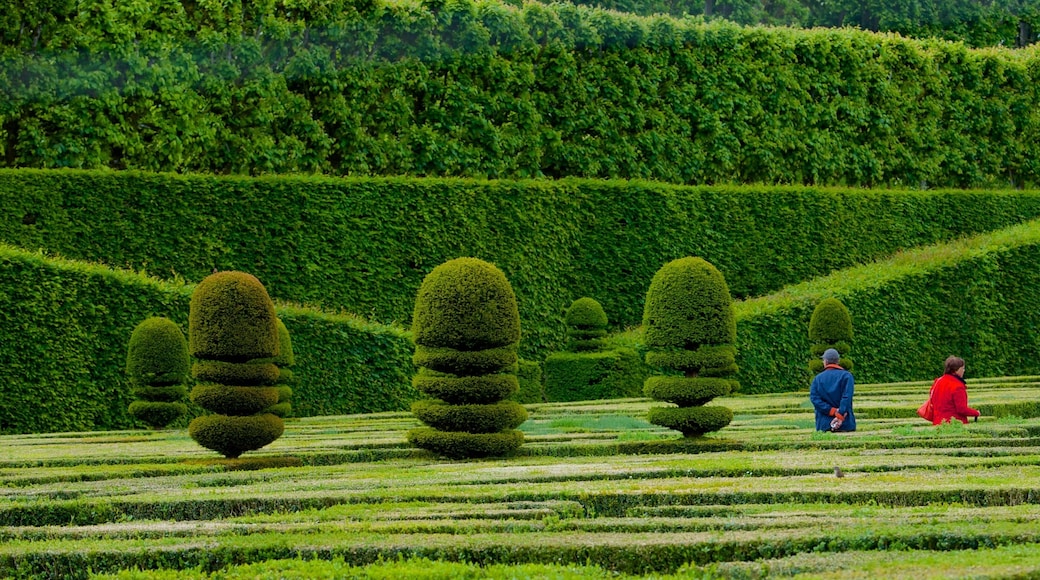 Chateau de Villandry showing a park and a castle
