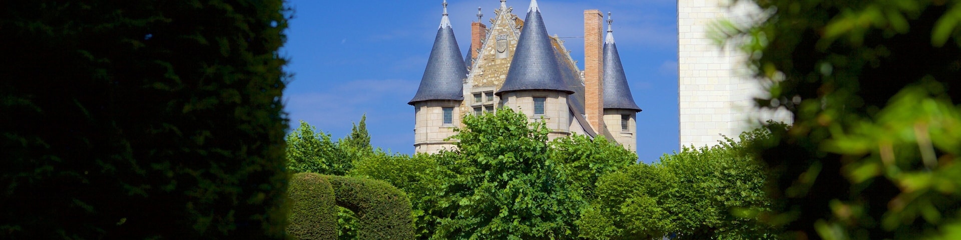 Chateau d\'Angers mostrando elementos de patrimônio e um parque