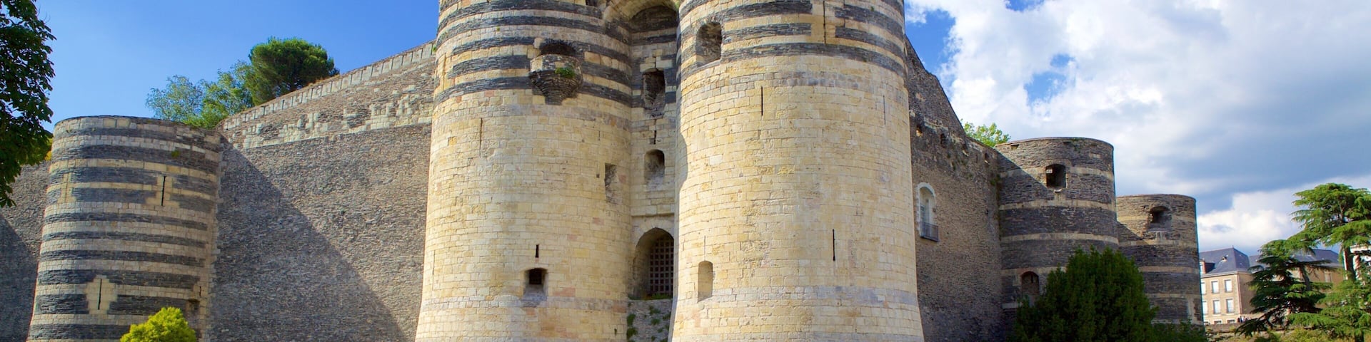 Chateau d\'Angers showing a park and heritage elements