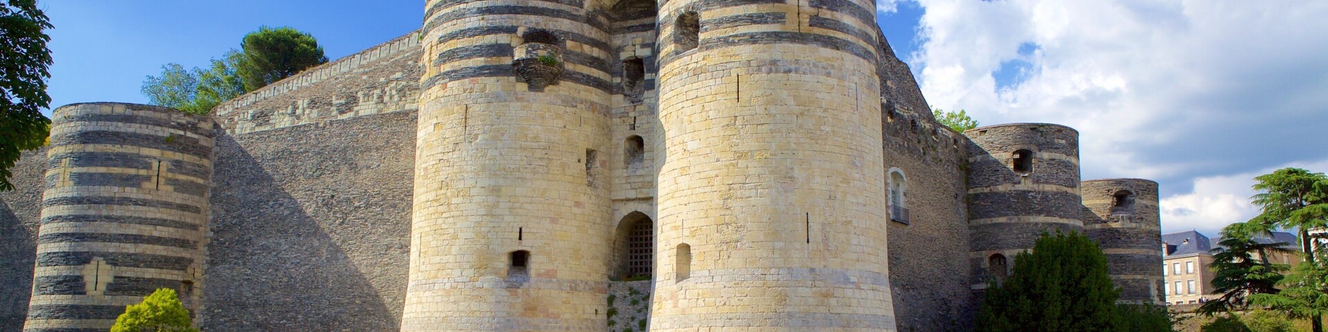 Chateau d\'Angers mostrando elementos patrimoniales y un parque