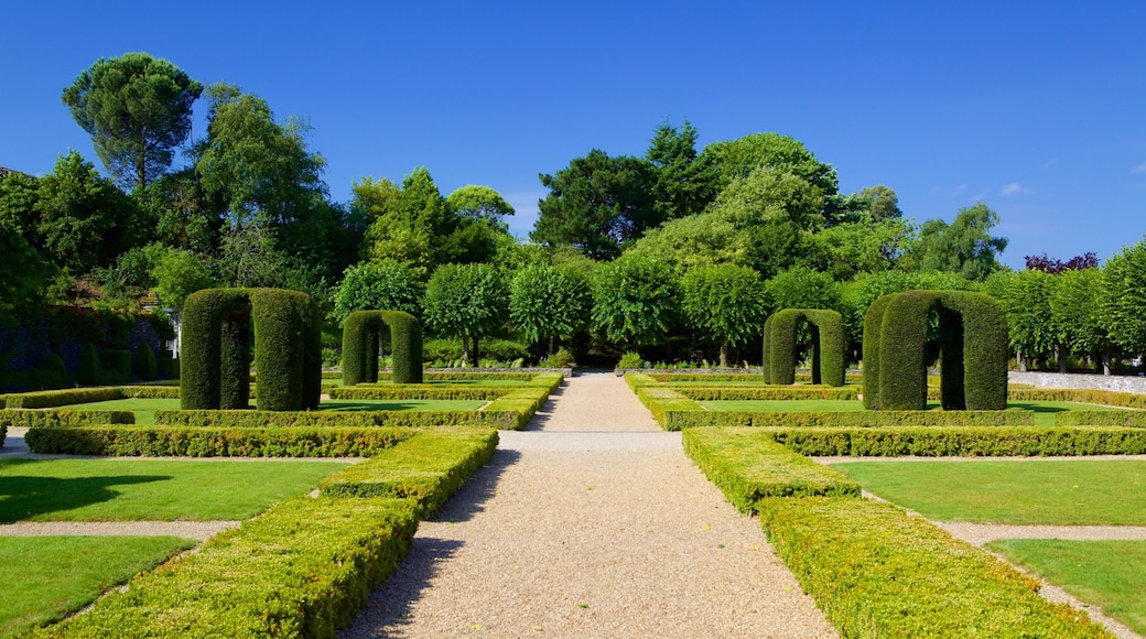 Chateau d\'Angers som inkluderer hage