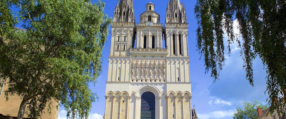 Catedral de Angers ofreciendo una iglesia o catedral y elementos patrimoniales