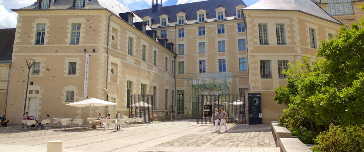 Musee des Beaux-Arts