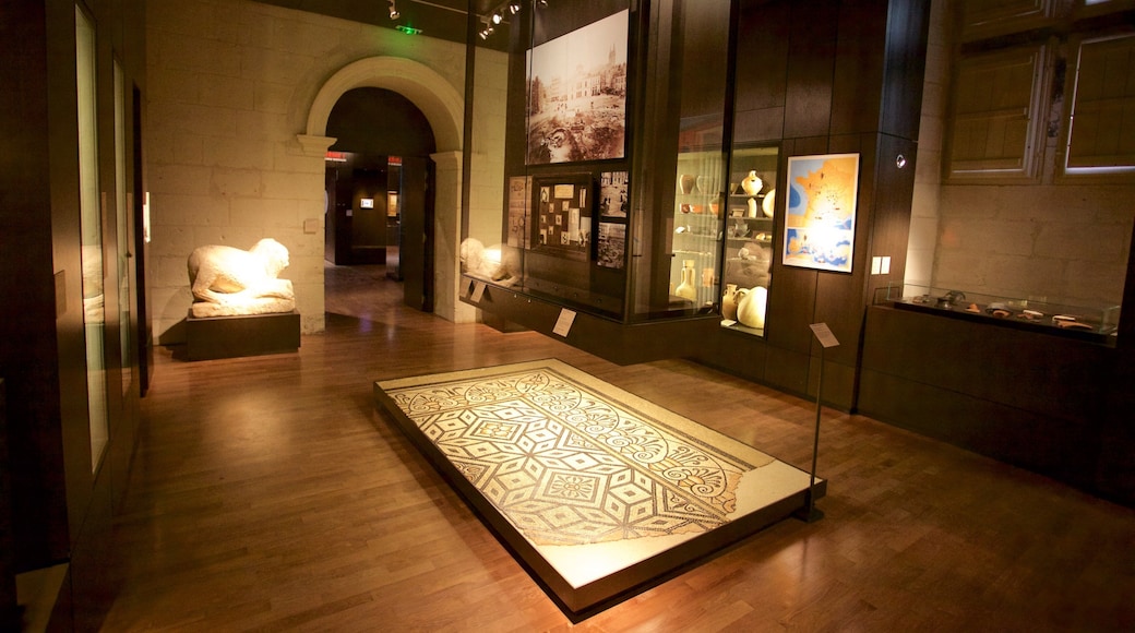 Musée des Beaux-Arts