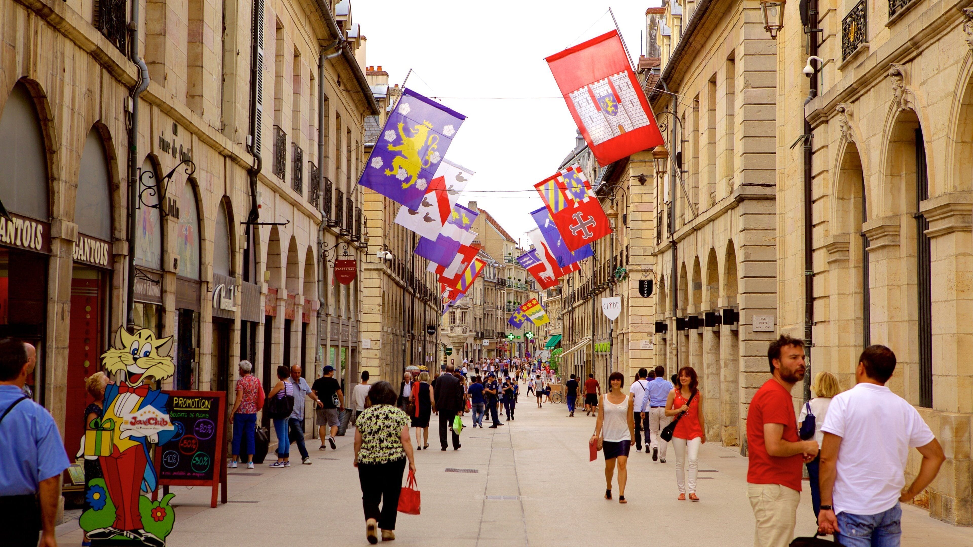 Palace of the Dukes of Burgundy which includes street scenes