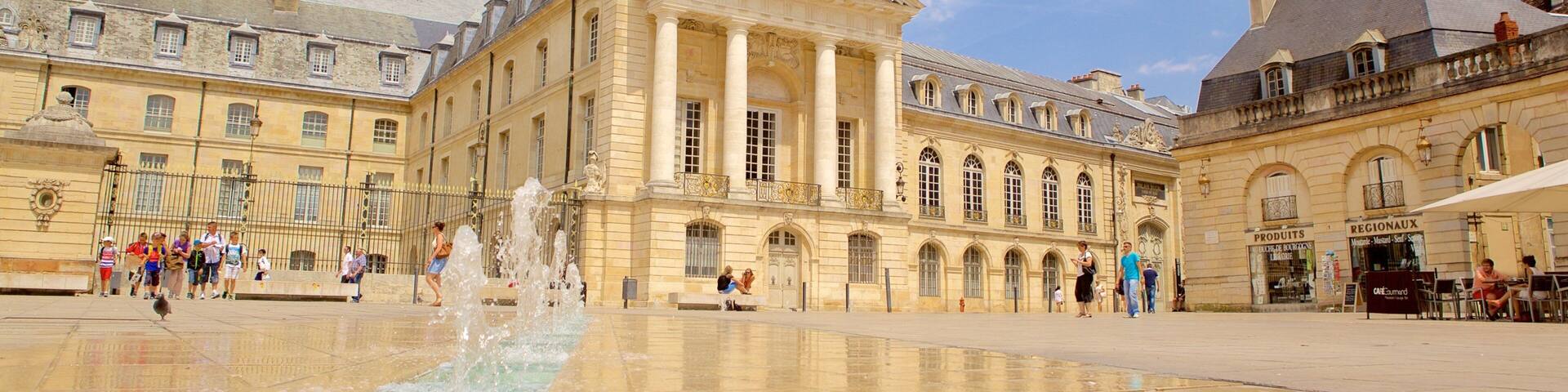 Palais des ducs de Bourgogne mettant en vedette square ou place, fontaine et patrimoine historique
