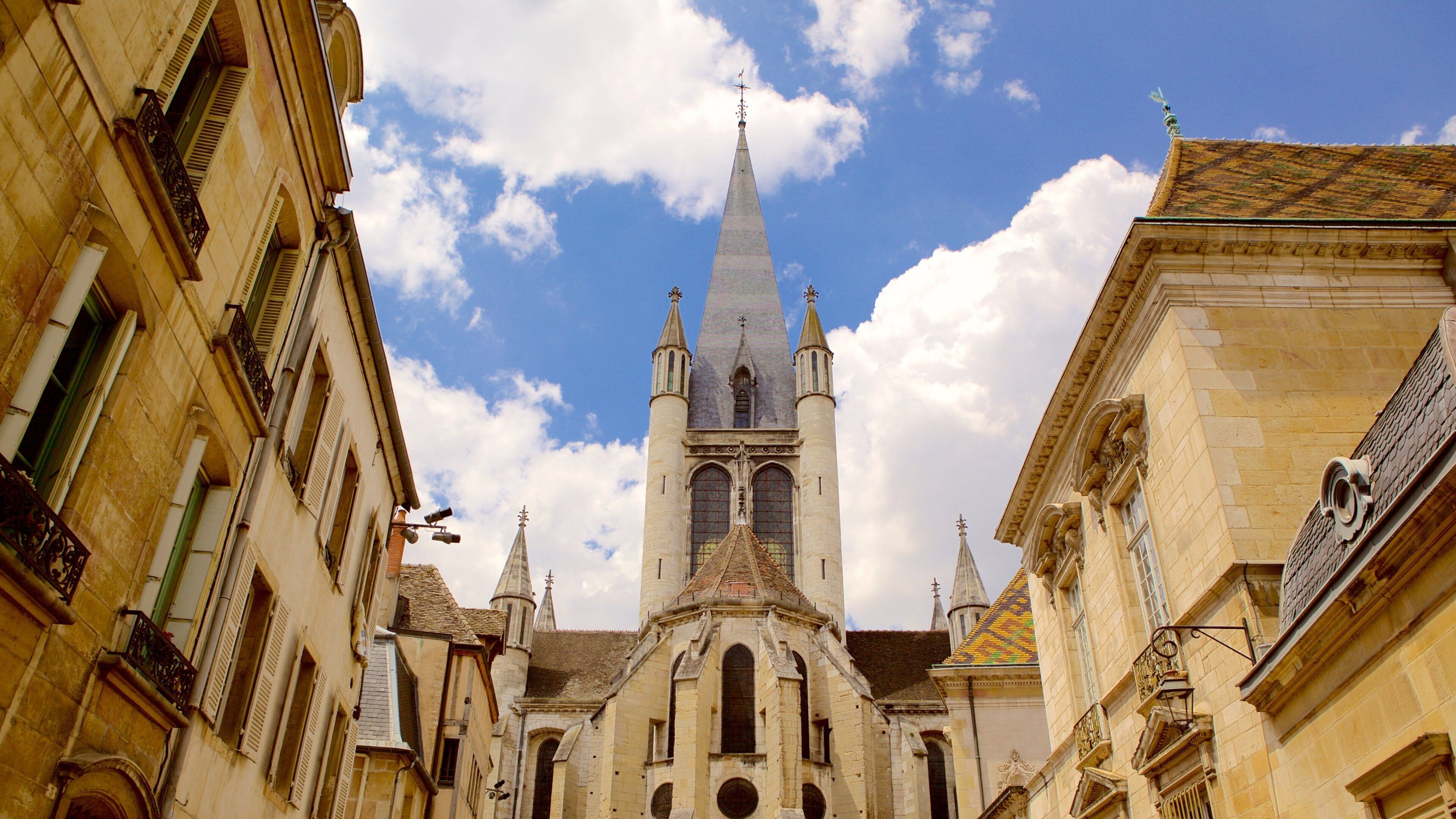 Notre Dame de Dijon som inkluderar en kyrka eller katedral och historiska element