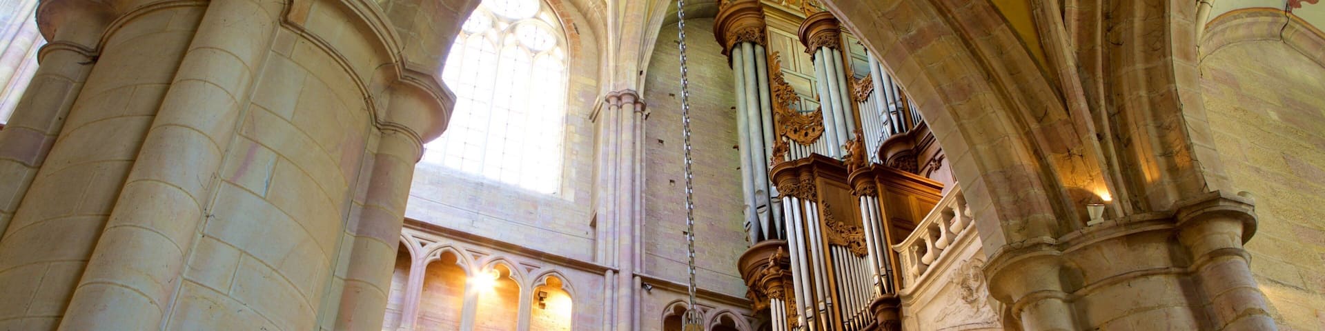 Dijon Cathedral showing a church or cathedral, interior views and heritage elements